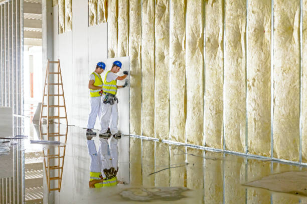 Best Commercial Insulation in Lake Ozark, MO